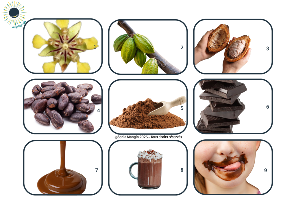 Météo chocolatée