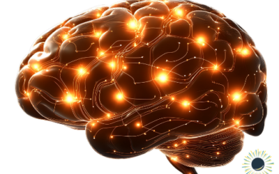 Transfert des connaissances : pourquoi savoir ne suffit pas pour savoir faire